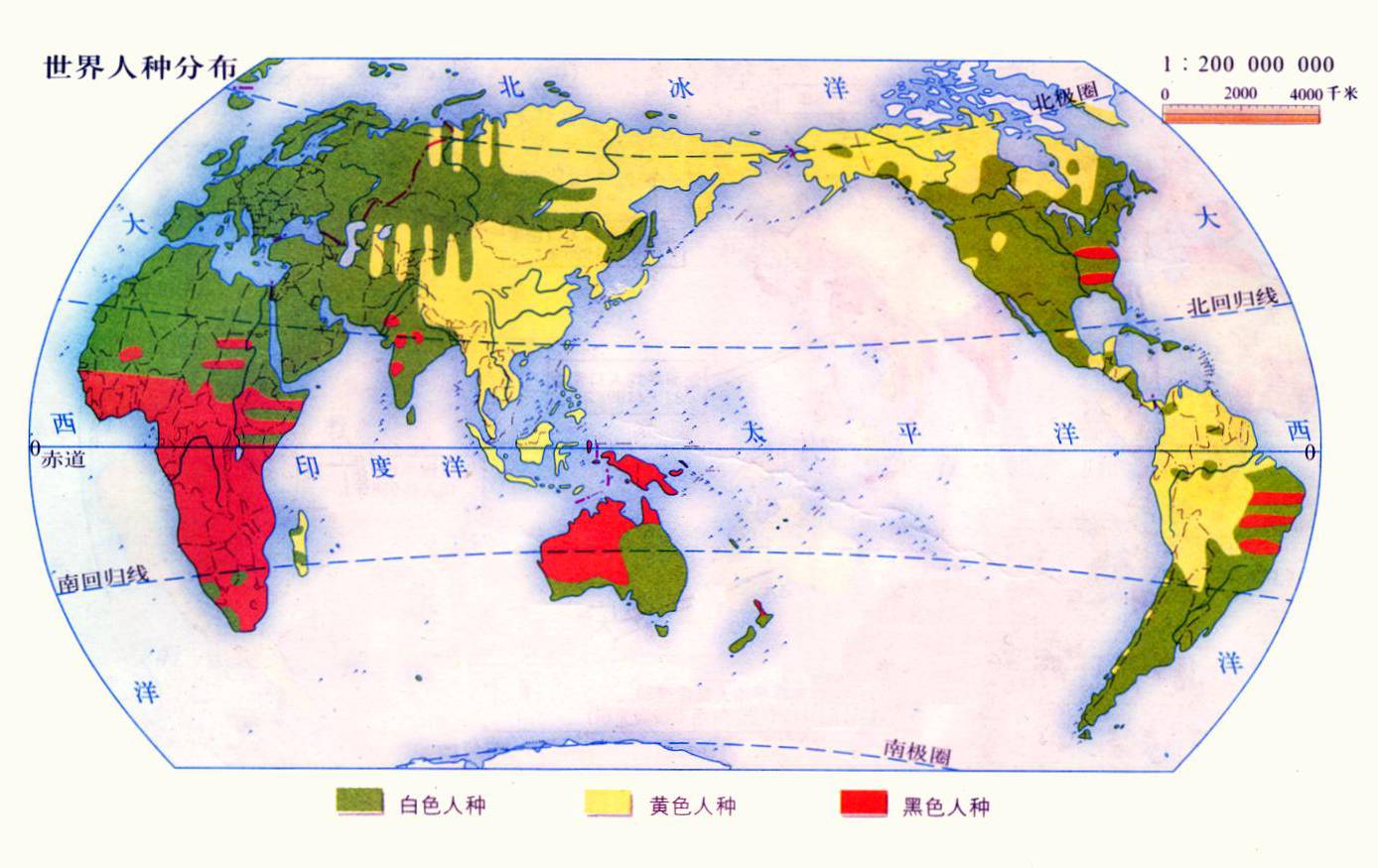 世界人種分布圖